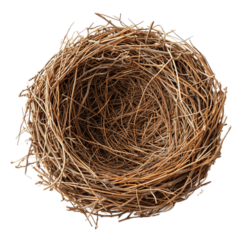 AI generated Bird nest isolated on transparent background png