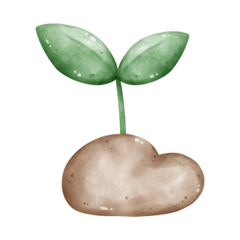 Illustration of plant png