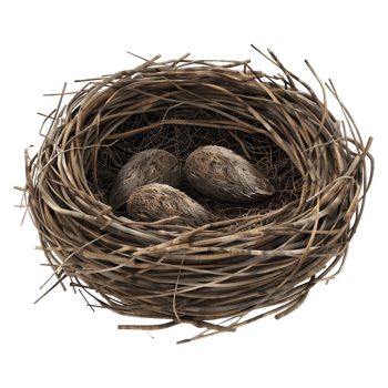 AI generated 3D Rendering of a Nest of Eggs on Transparent Background - Ai Generated png