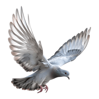 AI generated 3D Rendering of a Flying Dove on Transparent Background - Ai Generated png