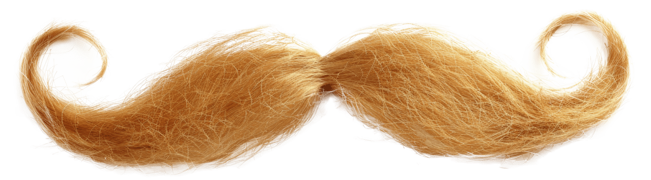 AI generated Textured curly fibers in a natural brown pattern on transparent background - stock png. png
