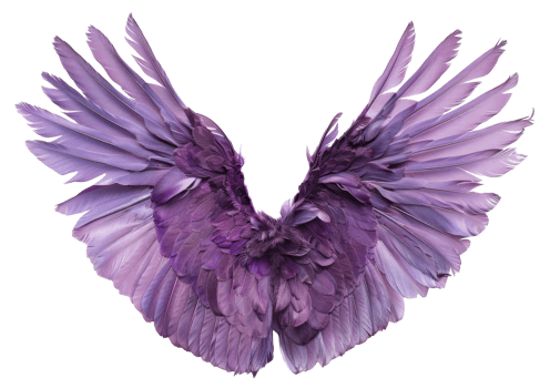 AI generated Lavender angel wings with feather details on transparent background - stock png. png