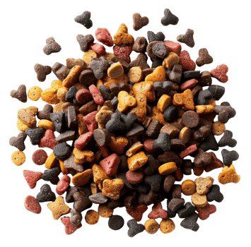 AI generated Assorted colorful dog treats for training and reward on transparent background - stock png. png