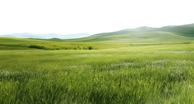 AI generated Rolling green hills with blossoming wildflowers on transparent background - stock png. png