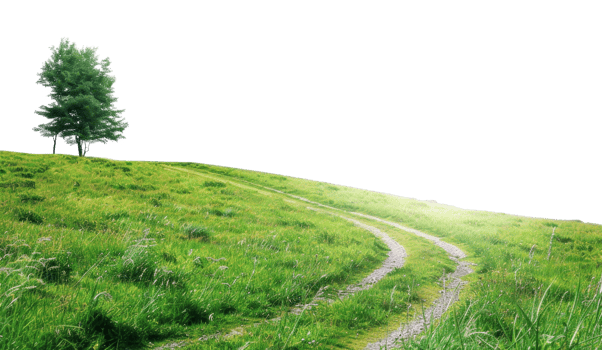 AI generated Solitary tree atop a lush green hill with a winding path on transparent background - stock png. png
