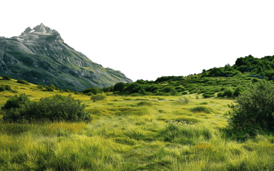 AI generated Verdant alpine meadow with wildflowers against mountain backdrop on transparent background - stock png. png