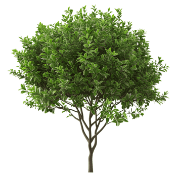 AI generated 3D Rendering of a Green Leaves Tree on Transparent Background - Ai Generated png
