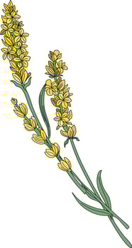 beautiful yellow color flowers, yellow flower elements vector