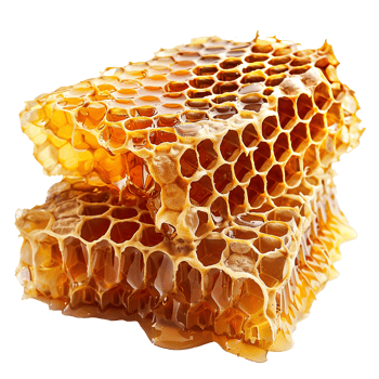 AI generated Honeycomb png isolated on transparent background