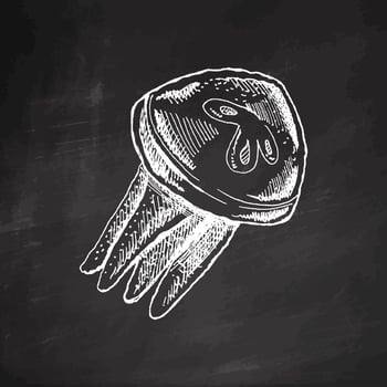 Hand-drawn jellyfish, deep-sea luminous marine. Vector sketch illustration. Sea collection. Engraved white illustrations isolated on chalkboard background.