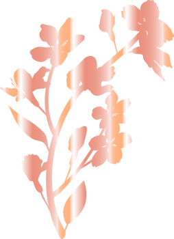 Sakura branch with flowers decoration. png