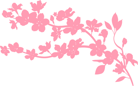 Sakura branch with flowers decoration. png