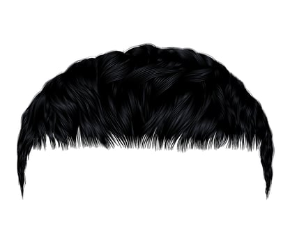 trendy  man hairs crop . brunette black . beauty style . realistic  3d . vector