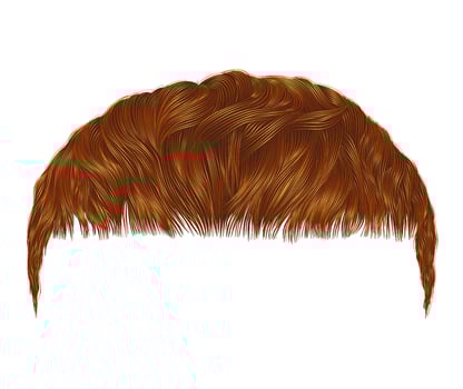 trendy man hairs red color beauty style crop. vector