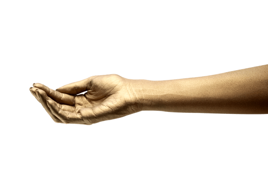 female hands in various poses and gestures png