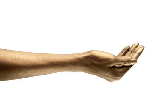 female hands in various poses and gestures png