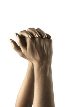 female hands in various poses and gestures png