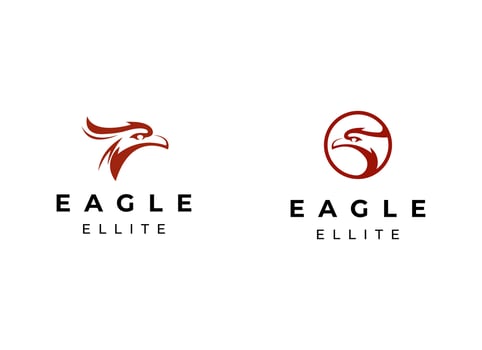 Head eagle logo design. Eagle logo vector