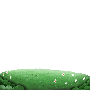 Spring or summer plant field lawn png