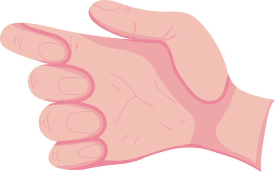 part of the body of the hand png
