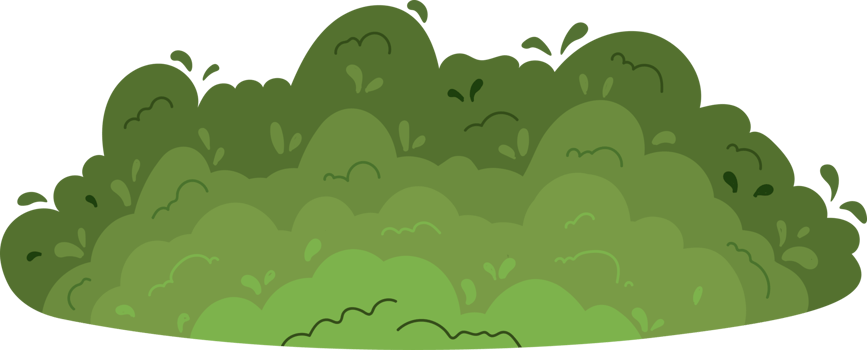 Spring, green grass png
