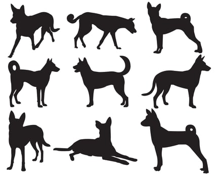 set of black silhouette dogs in various poses on white background, eps 10 vector