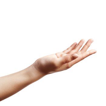 AI generated Female hand   isolated on transparent background   generative AI png