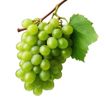 AI generated Bunch of white grapes. on transparent Background PNG