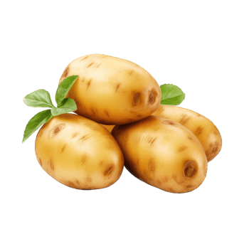 AI generated Potato Studio Shot Isolated on Transparent Background, Food Photography png