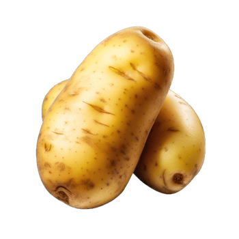 AI generated Potato Studio Shot Isolated on Transparent Background, Food Photography png