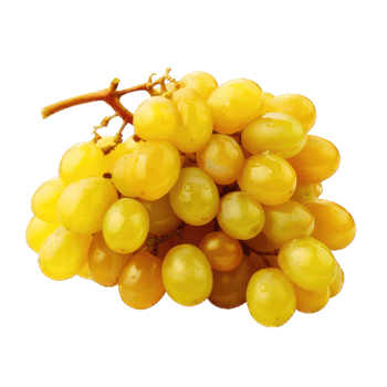 AI generated Bunch of purple grapes isolated on transparent and white background png