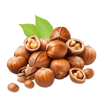 AI generated Nuts on Transparent Background png