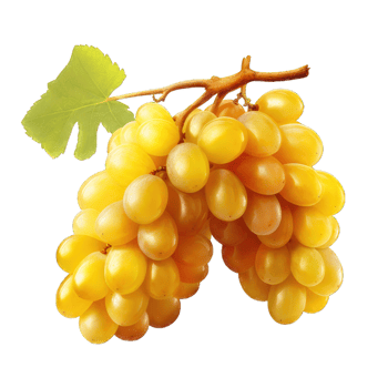 AI generated Bunch of purple grapes isolated on transparent and white background png