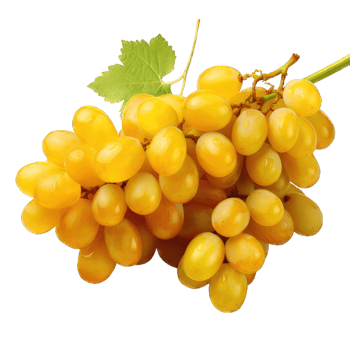 AI generated Bunch of purple grapes isolated on transparent and white background png