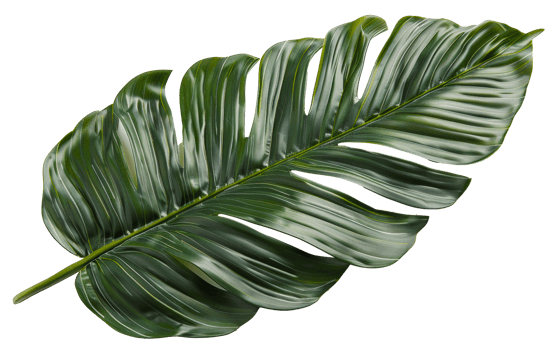 AI generated Single vibrant green palm leaf with natural patterns on transparent background - stock png. png