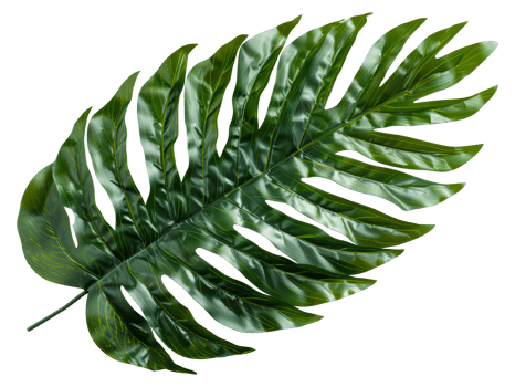 AI generated Single vibrant green palm leaf with natural patterns on transparent background - stock png. png
