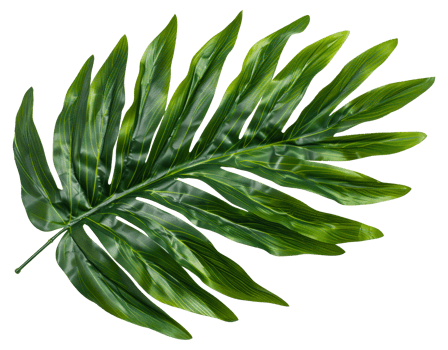AI generated Single vibrant green palm leaf with natural patterns on transparent background - stock png. png