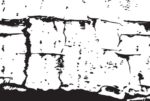 black and white birch bark grunge texture background. vector