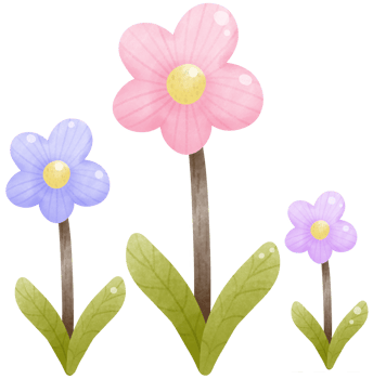Colorful daisy flower png