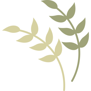 Leaves branch decor png