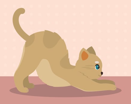 Cute cat cartoon kawaii Vector illustration