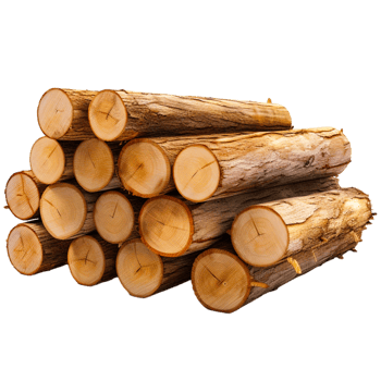 AI generated Cute Pine logs png