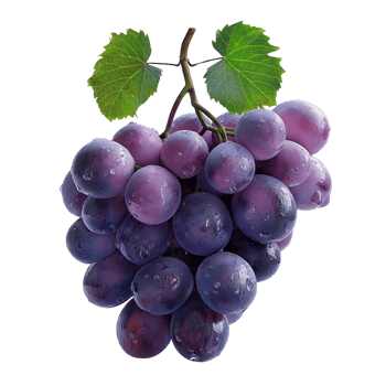 AI generated Ripe grapes bunch isolated on white background, Healthy organic juicy fruit and fresh natural ingredients, AI generated, PNG transparent