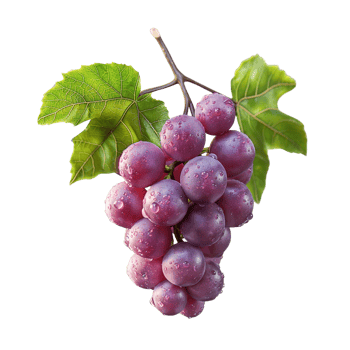 AI generated Grapes bunch isolated on white background, Healthy organic juicy fruit and fresh natural ingredients, AI generated, PNG transparent