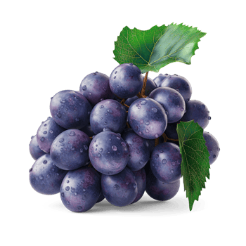 AI generated Bunch of ripe grapes isolated on white background, Healthy organic juicy fruit and fresh natural ingredients, AI generated, PNG transparent with shadow