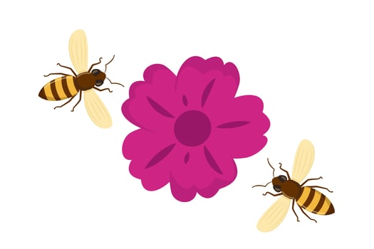 Happy bee flying. Honey bee flying to the flowers collecting nectar. Vector illustration.