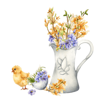 Easter chick and flowers hand drawn. Yellow blossom branches in ceramic jug watercolor illustration. Hand painted spring flowers forsythia for Easter design in neutral color. png