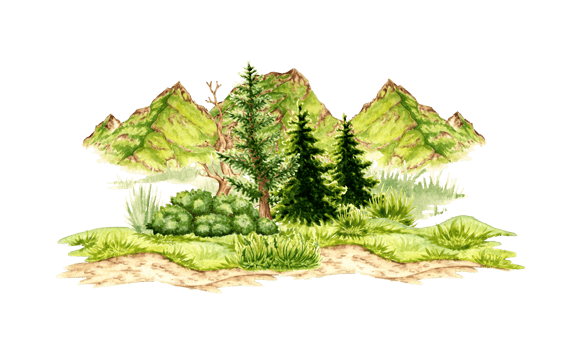 Watercolor illustration of natural landscape. Wildlife forest scene with green grass, mountain ranges. Create design compositions on the theme of tourism, travel, outdoor recreation. png