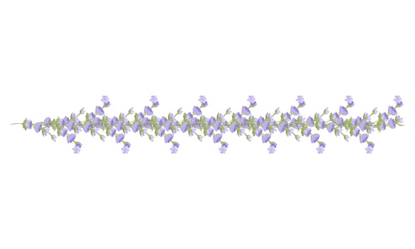 Decorative border of lavender flowers for your design. Vector illustration isolated on white background.