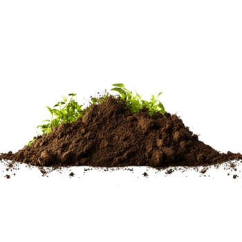 AI generated Composting pile of organic waste png